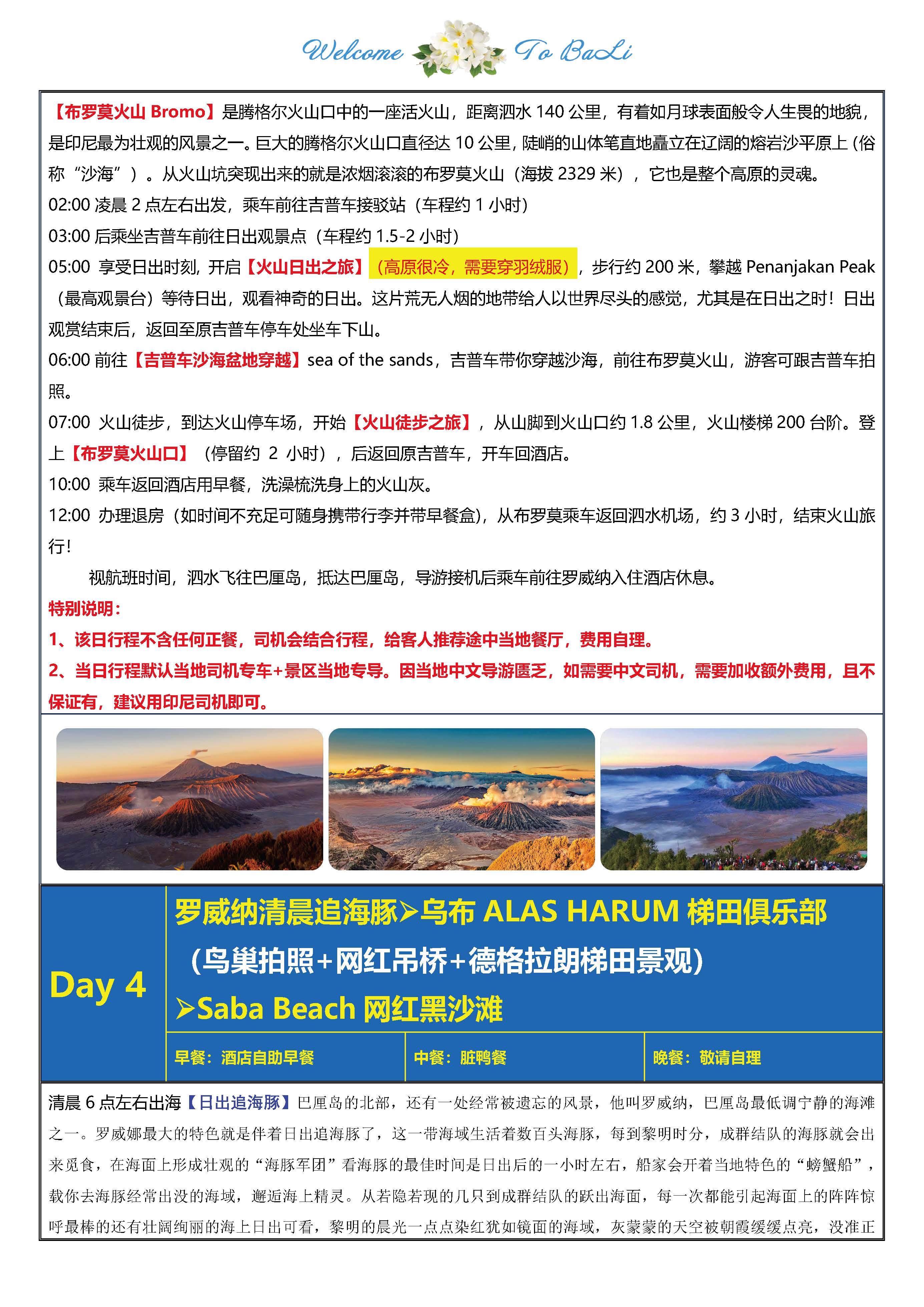 A线：网红巴厘&泗水火山 6D4N_页面_11