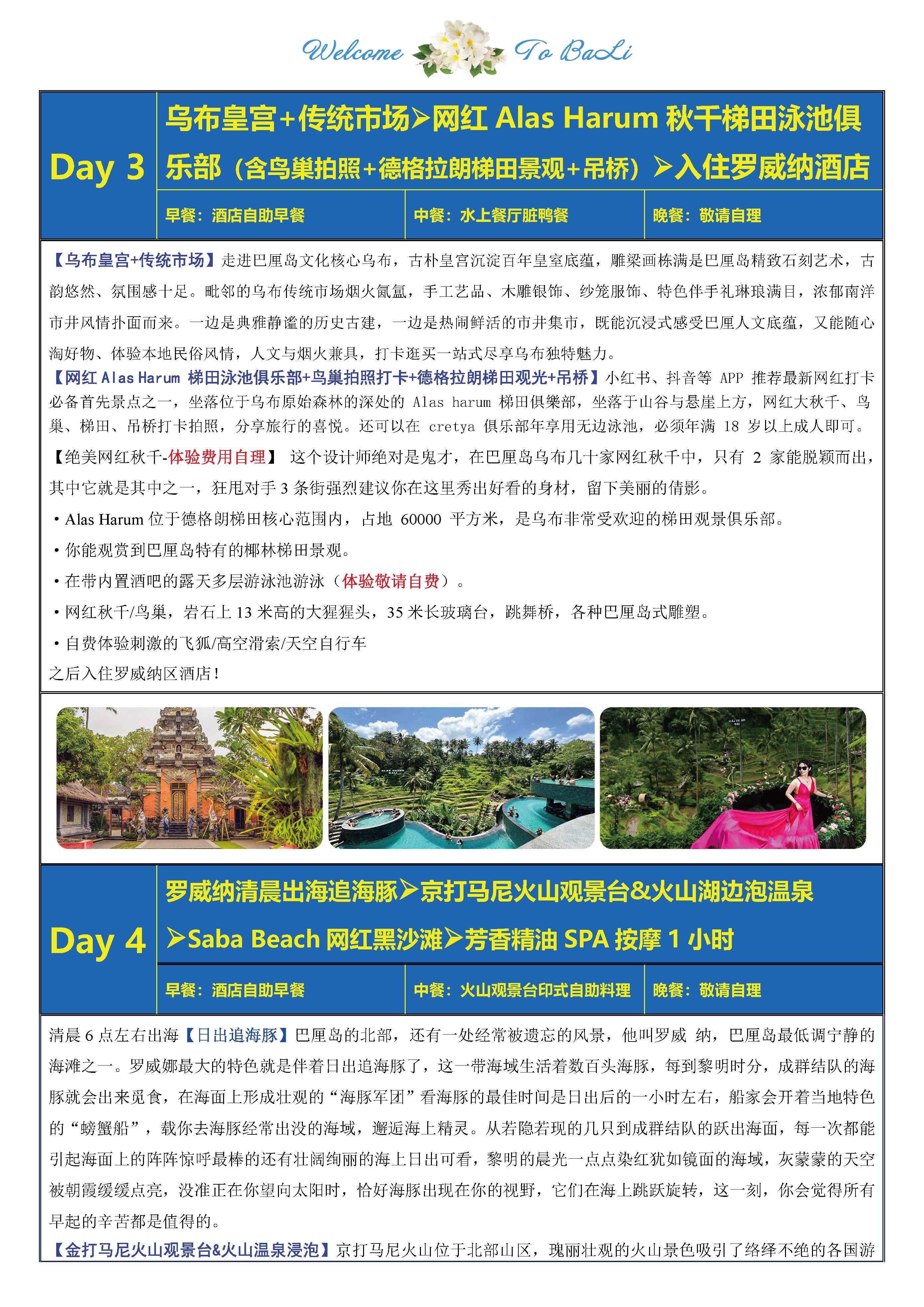 巴厘岛海豚追逐之旅 6天4晚_页面_09