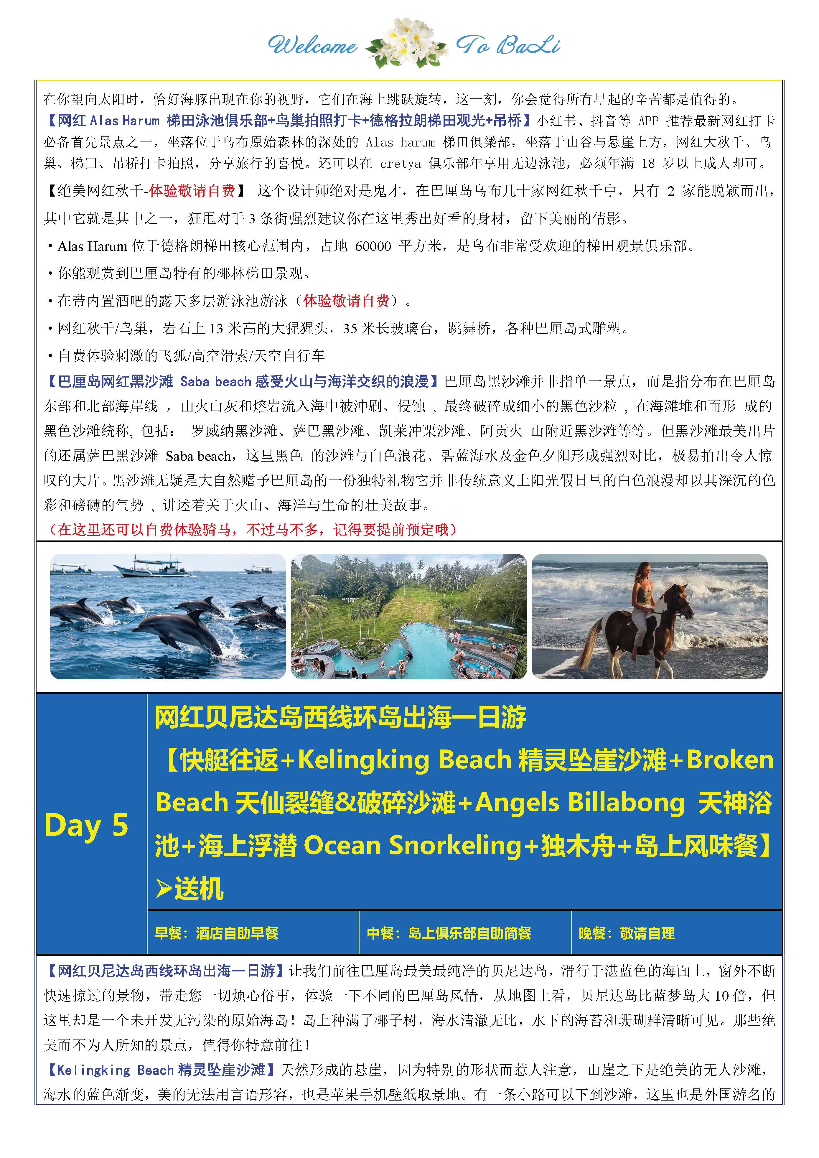 A线：网红巴厘&泗水火山 6D4N_页面_12