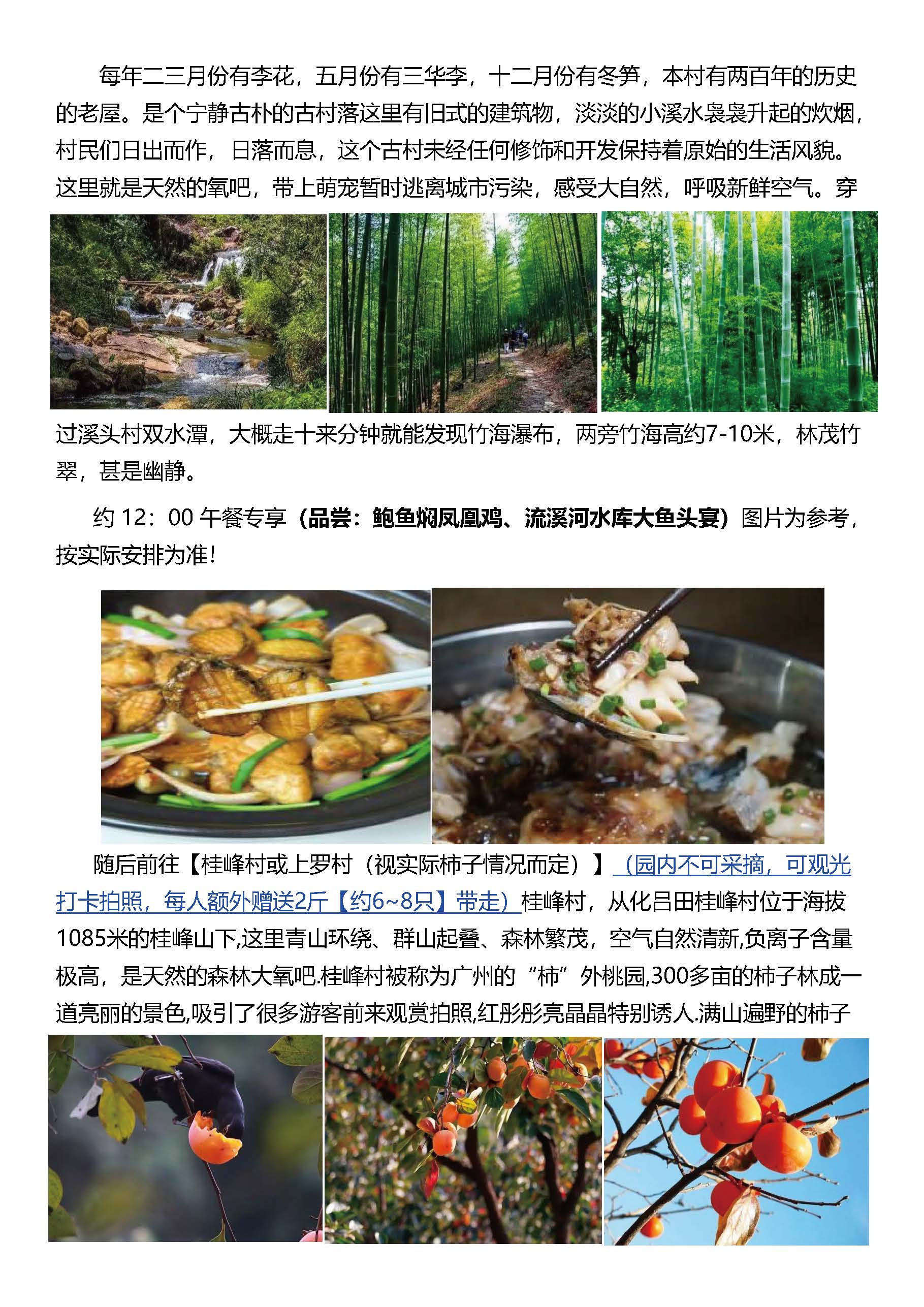 从化柿子1天_页面_4