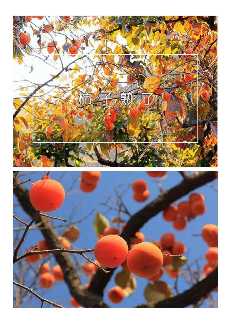 柿柿如意 枫叶传情丨从化+新丰2天_页面_02
